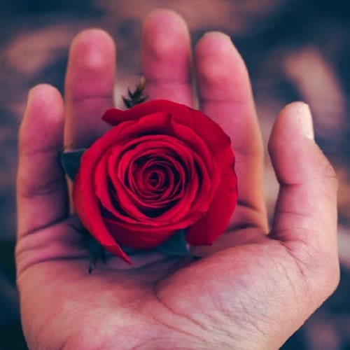دانلود آهنگ Nur Ceferli – Esq