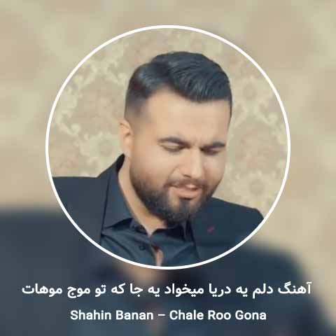 دانلود آهنگ دلم یه دریا میخواد یه جا که تو موج موهات
