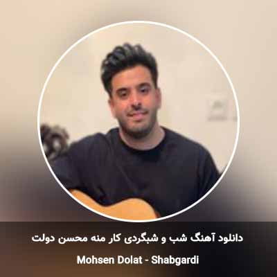 دانلود آهنگ شب و شبگردی کار منه محسن دولت
