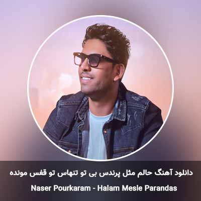 دانلود آهنگ حالم مثل پرندس بی تو تنهاس تو قفس مونده