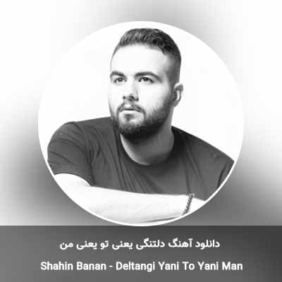 دانلود آهنگ دلتنگی یعنی تو یعنی من شاهین بنان