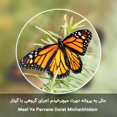 دانلود آهنگ مثل یه پروانه دورت میچرخیدم اجرای گروهی با گیتار