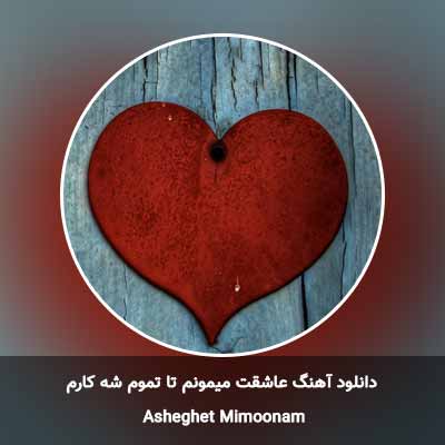 دانلود آهنگ عاشقت میمونم تا تموم شه کارم